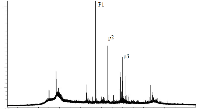 An image of a mass spectrometer data